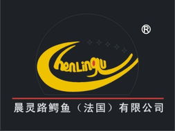 桐乡市博通商标代理旗下网站 商标代理的专业服务平台解析